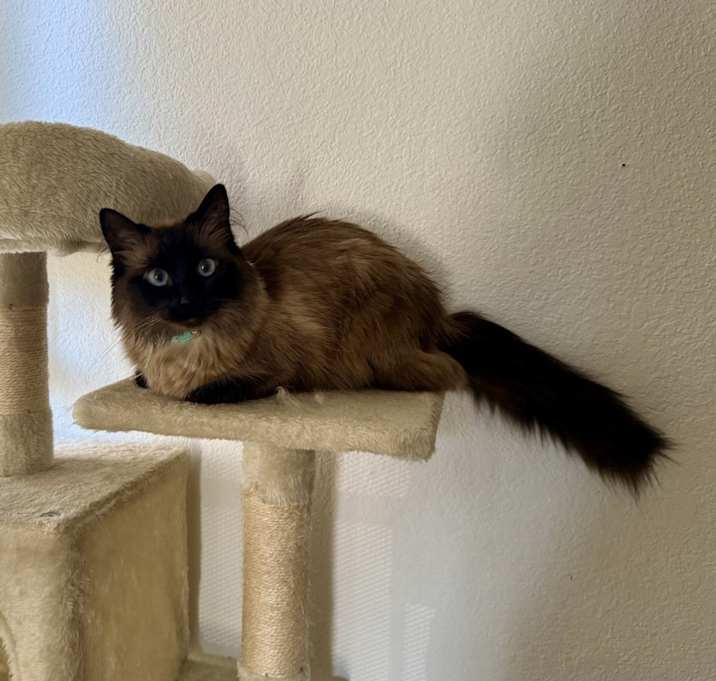 Photo of Raya