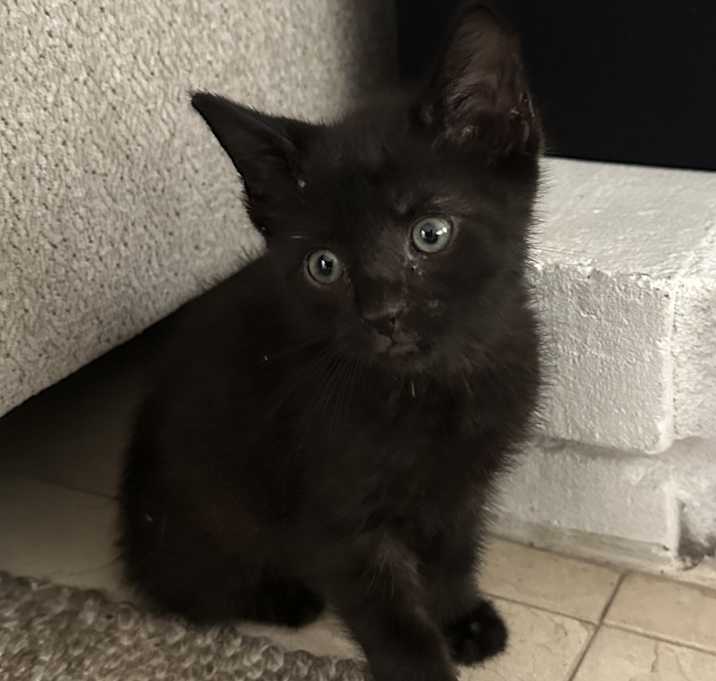 Photo of Stormy