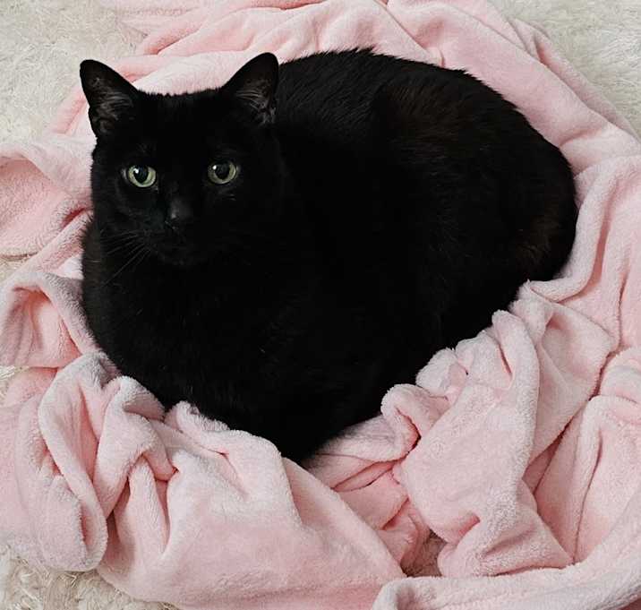 Photo of Bro