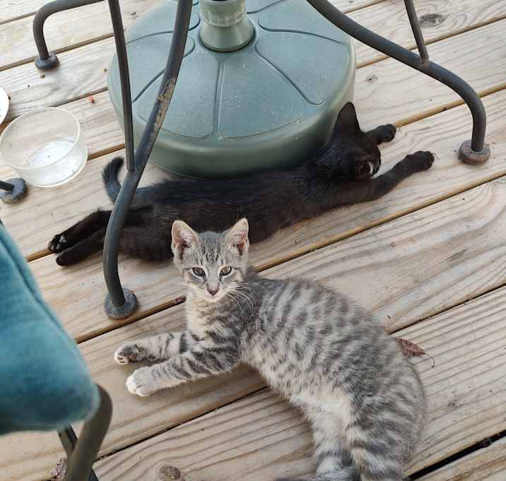 Photo of Planet and Bubba