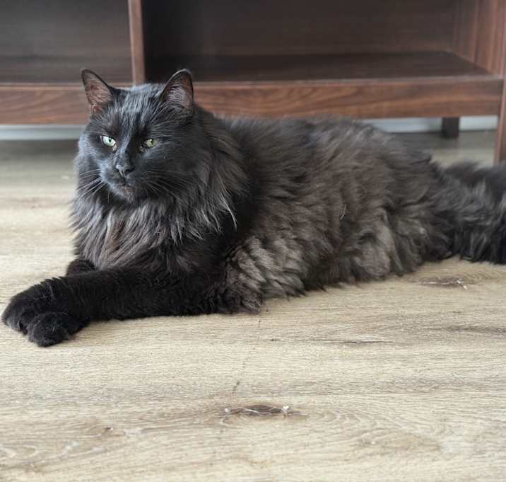 Photo of Ezra