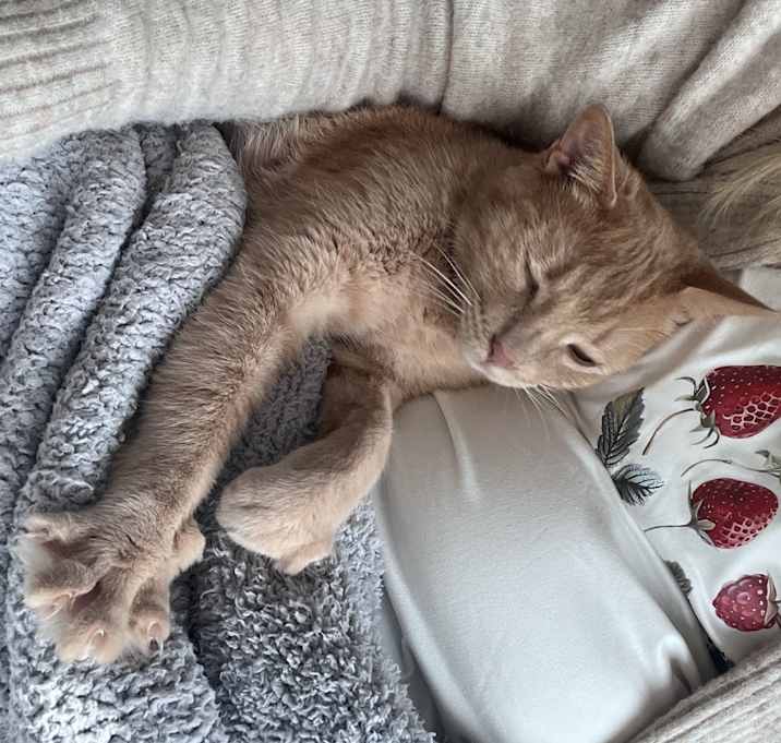 Photo of Bruce