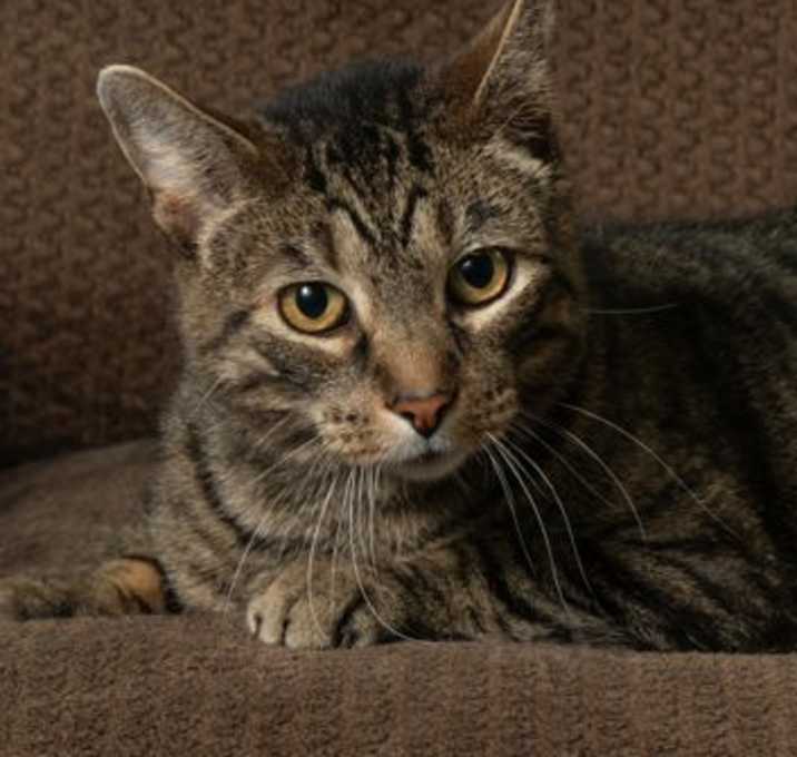Photo of Buster