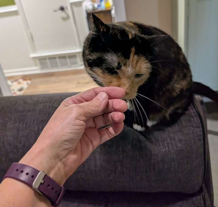 Photo of Ember