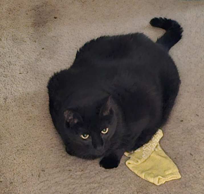 Photo of Jix