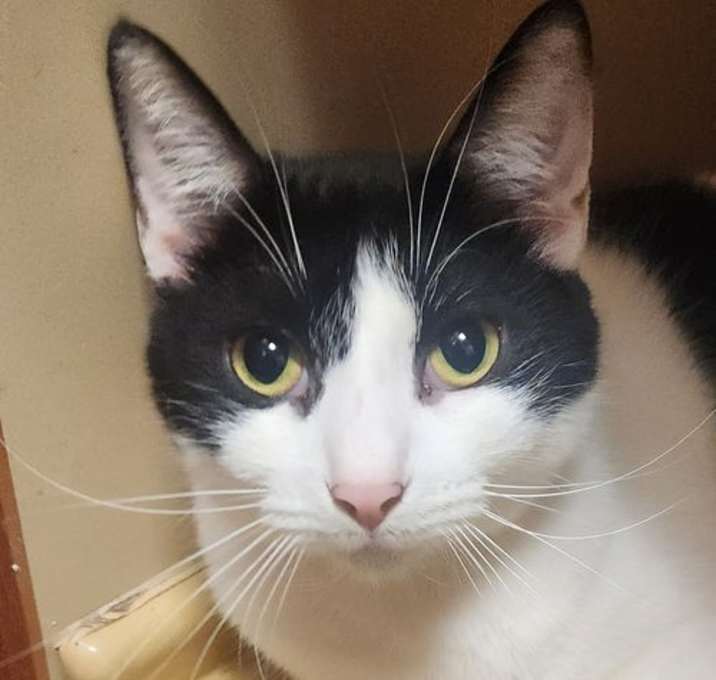 Photo of Marilyn - petsmart aventura