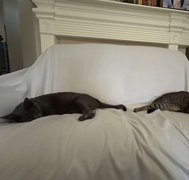 Photo of Kevin and tokyo