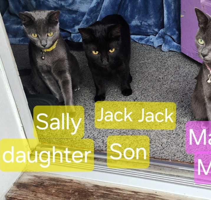 Photo of Maggie, Sally, Jack, and Charolette.