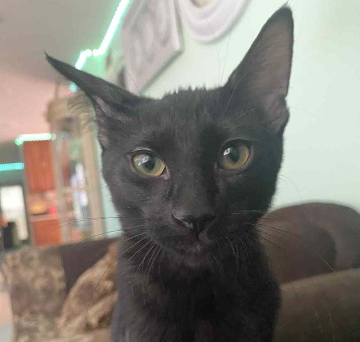 Photo of Amara