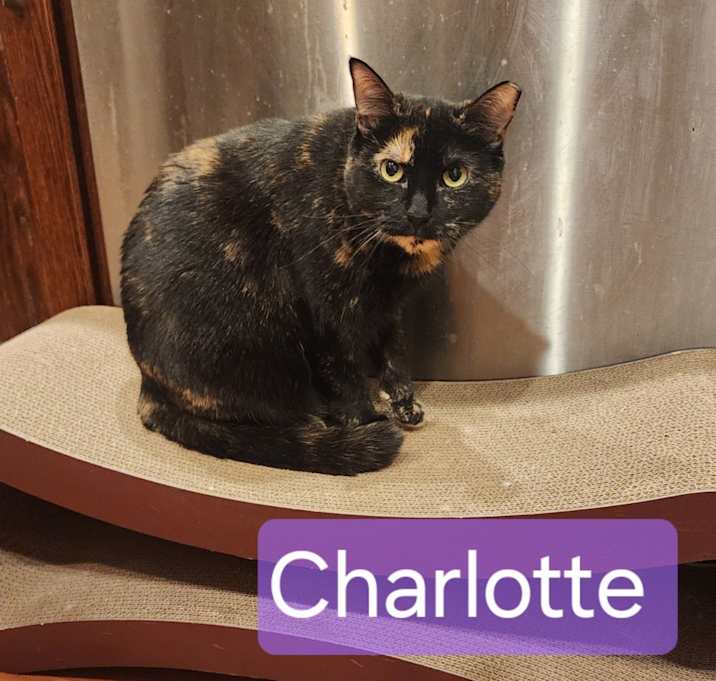 Photo of Charolette