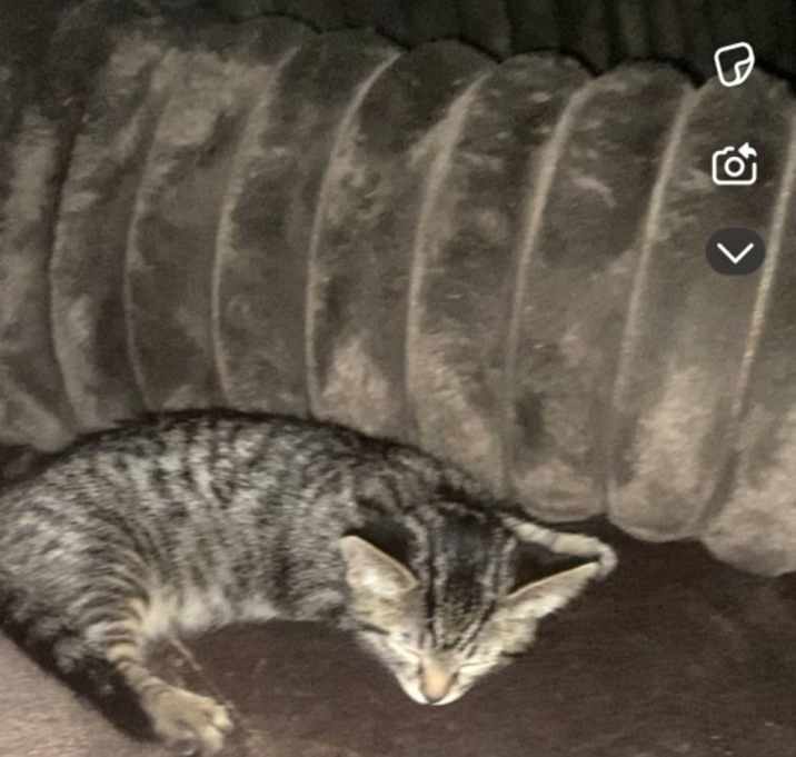 Photo of Major