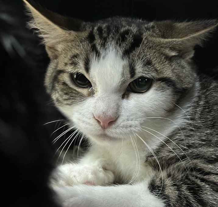 Photo of Jenner