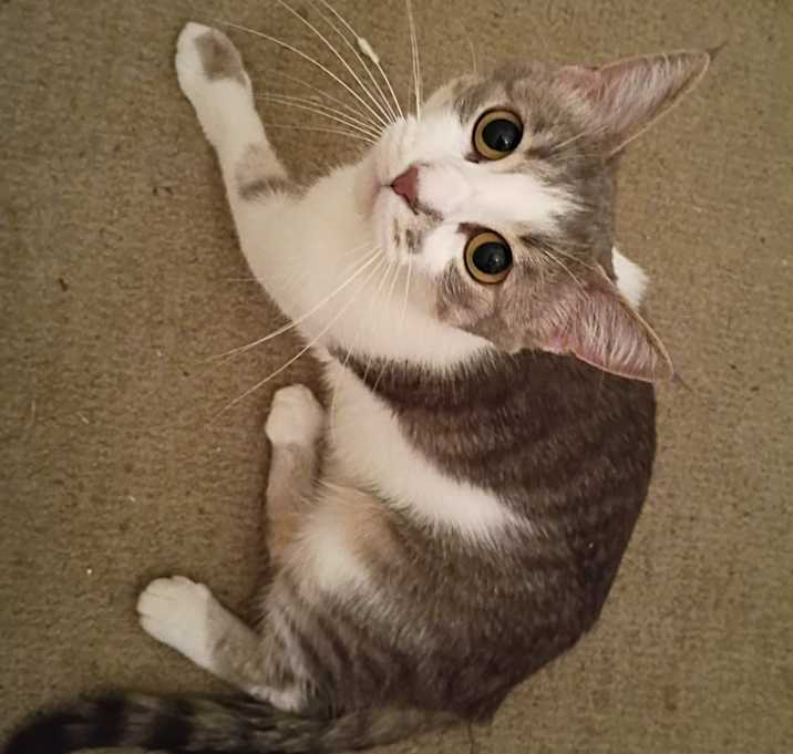Photo of Lanie