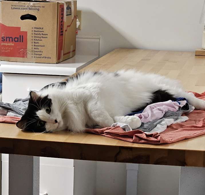 Photo of Max