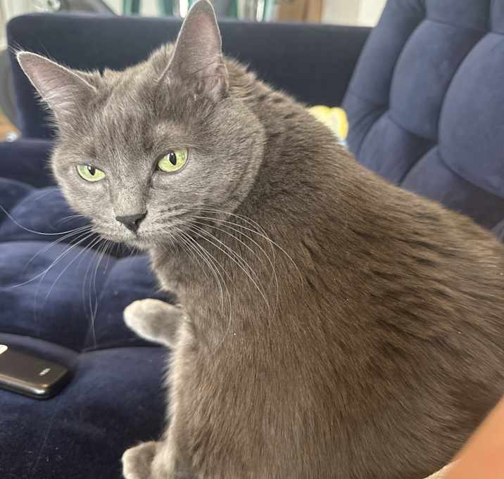 Photo of Hazel
