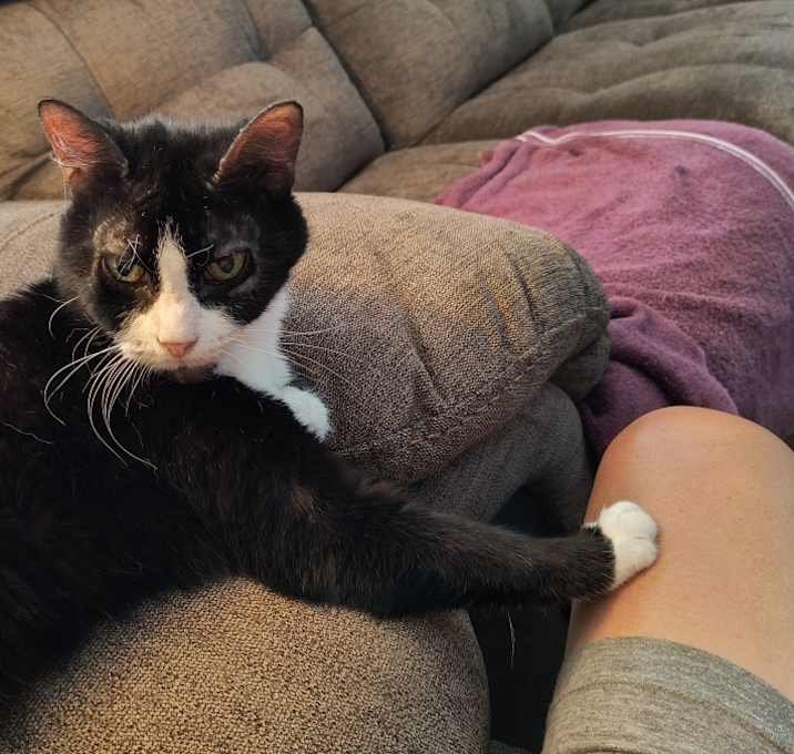 Photo of Percy