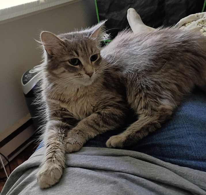 Photo of Astrid