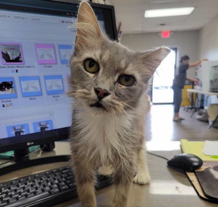 Photo of Hazel