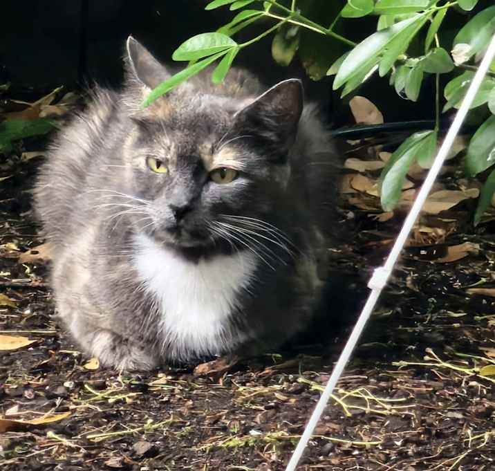 Photo of Molly