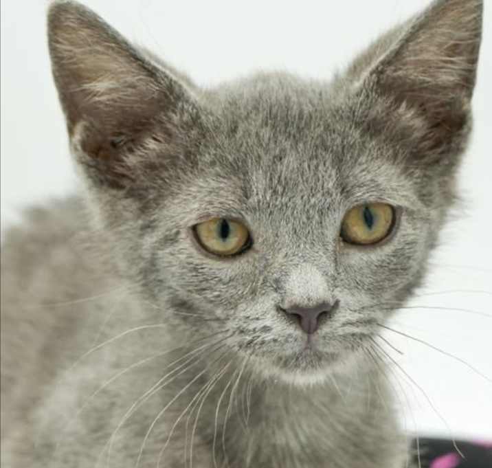 Photo of Barty