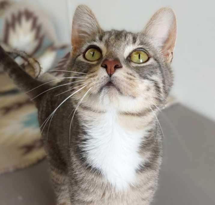 Photo of Tuck