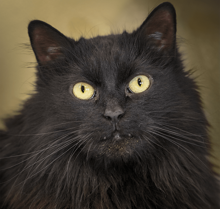 Photo of Lumen