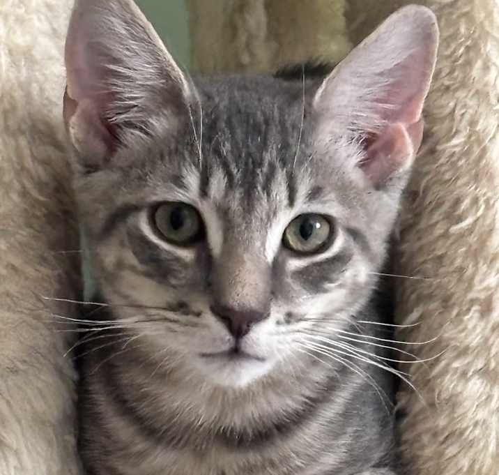 Photo of Lumi