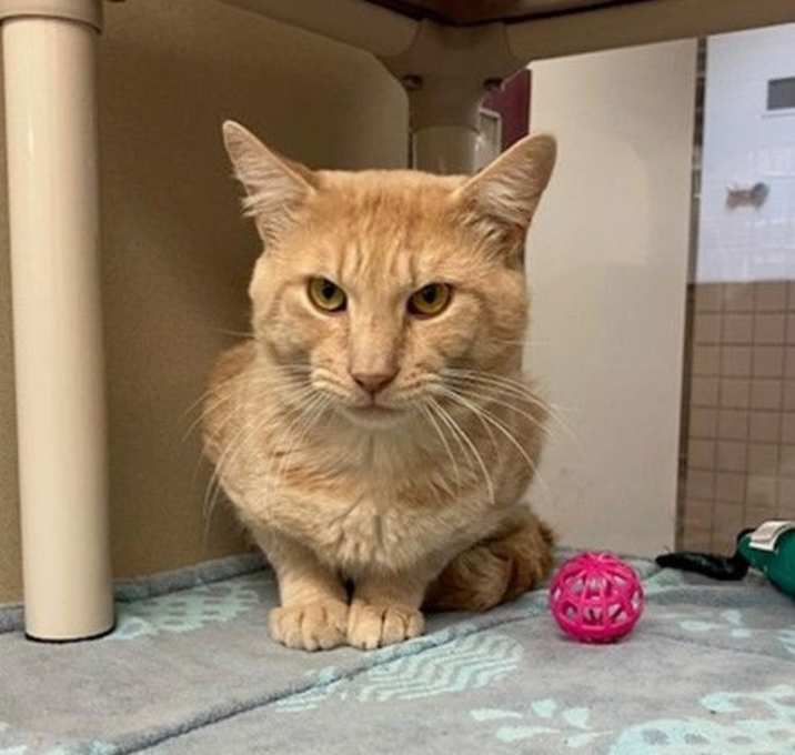 Photo of MUNCHKIN