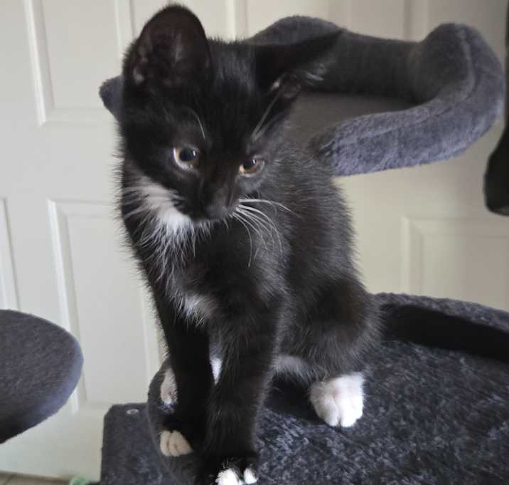 Photo of Little Socks