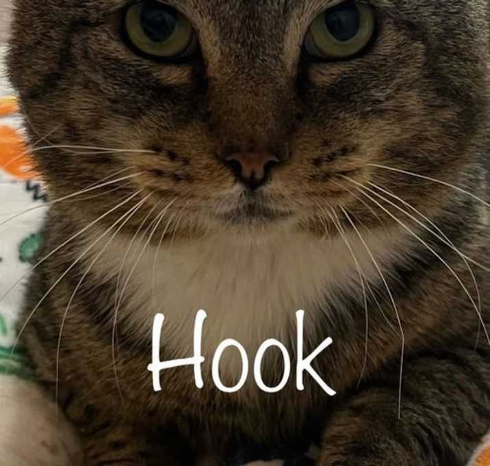 Photo of Hook
