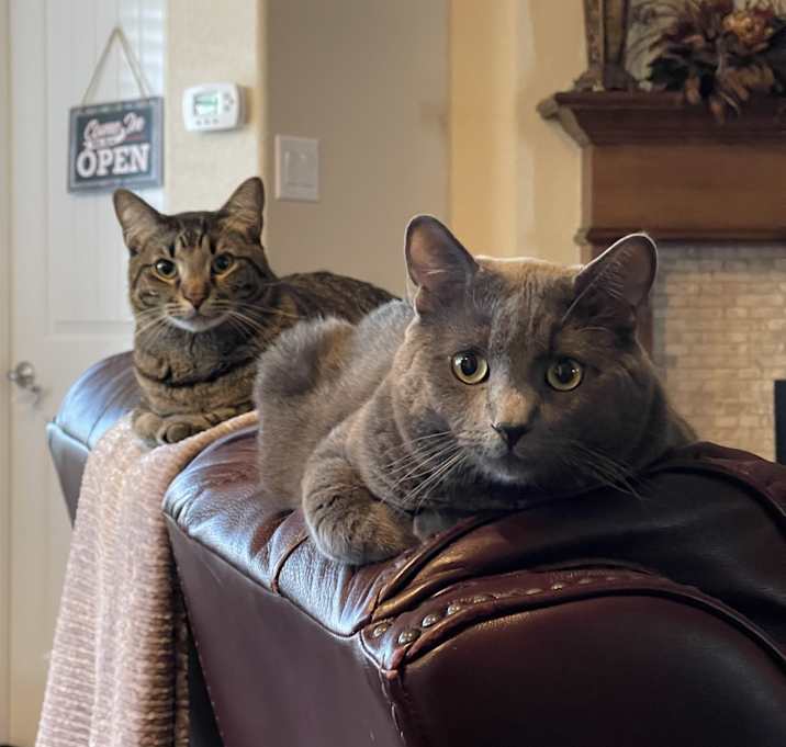 Photo of Thor and Tyr