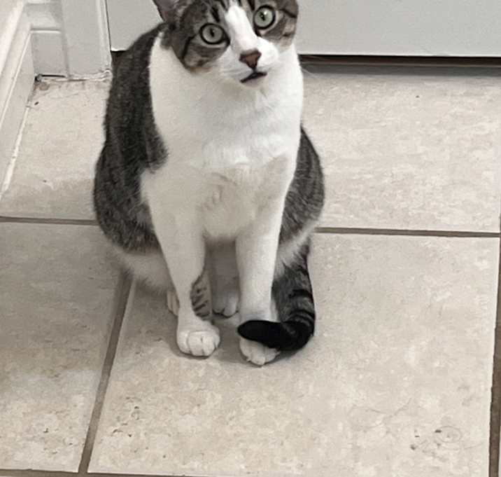 Photo of Tom
