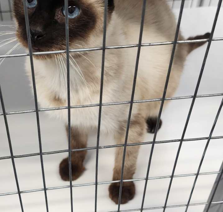 Photo of Spazz