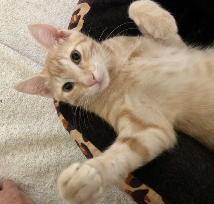 Photo of Simon