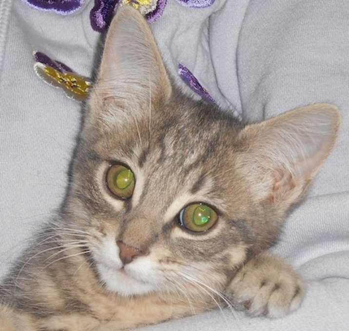 Photo of Adero