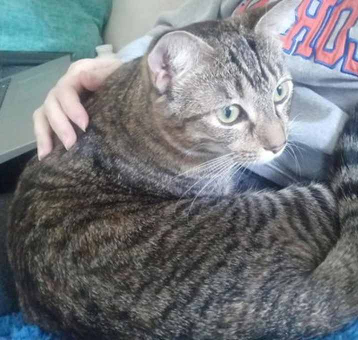 Photo of Birdie =^.^=