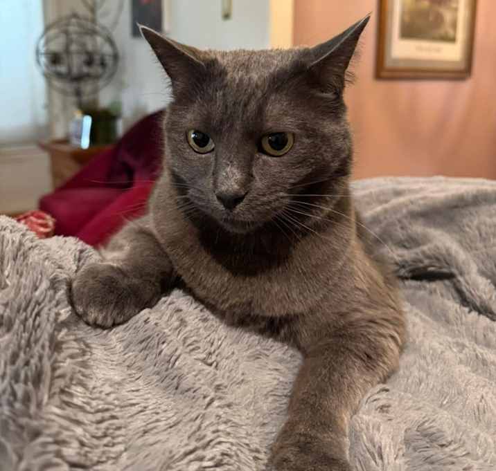 Photo of Elsa
