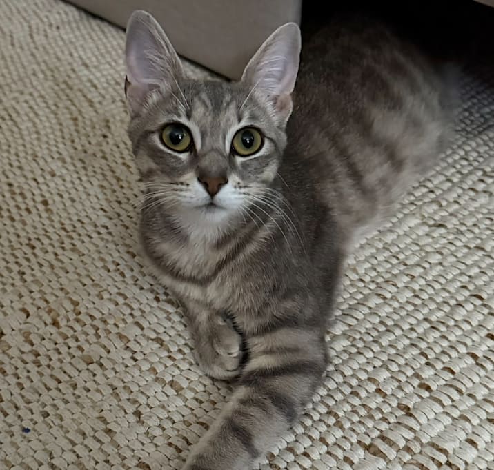 Photo of Ms. Girly