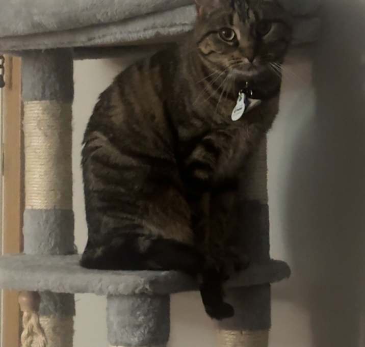 Photo of Pinot