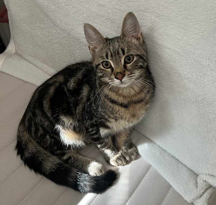 Photo of Milo