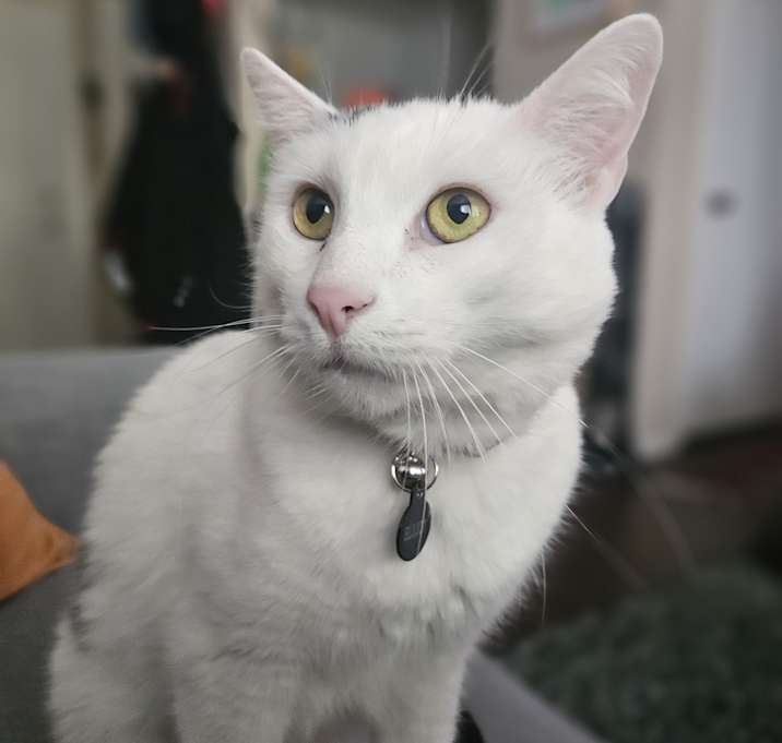 Photo of Elliot