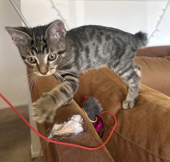 Photo of Gus