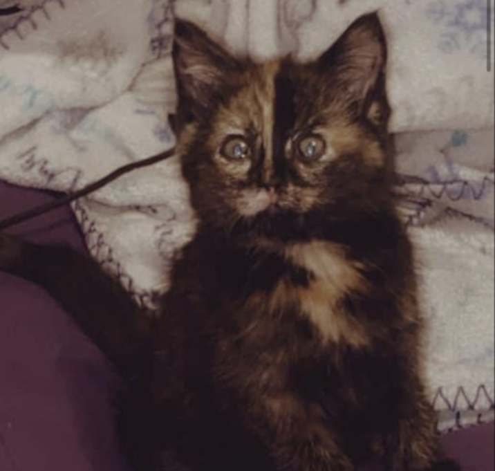 Photo of Shelia