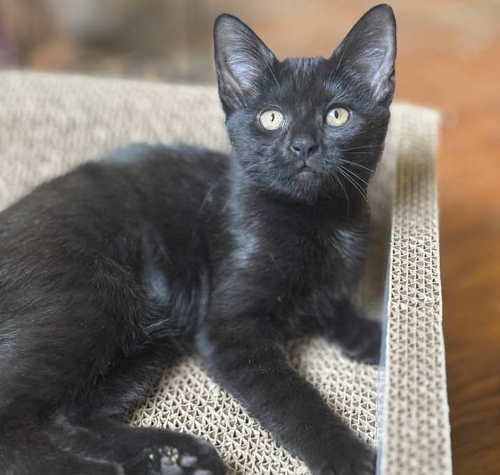 Photo of Velma