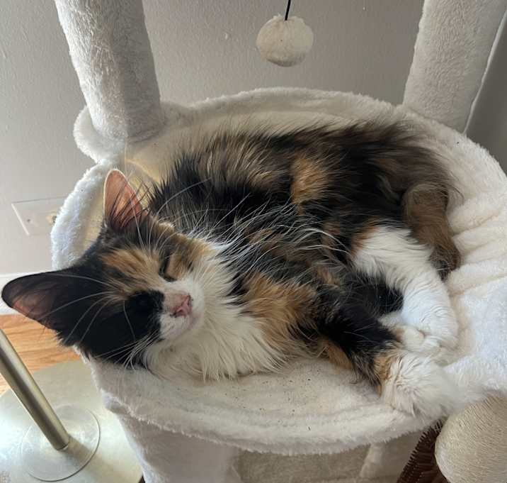 Photo of Ramona