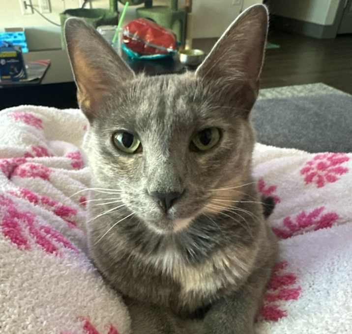 Photo of Fifi