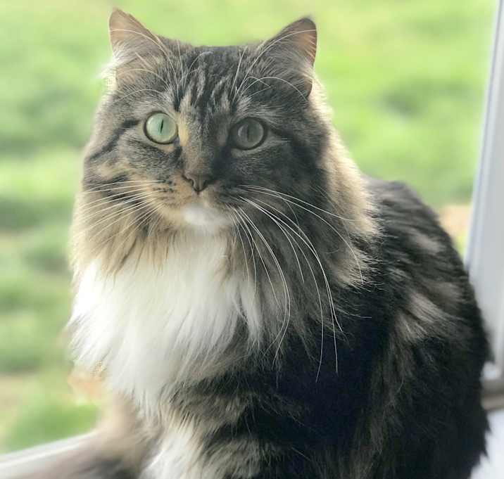 Photo of Beesly