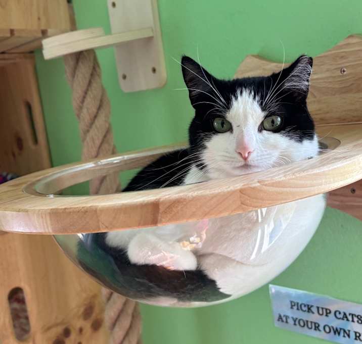Photo of Wally