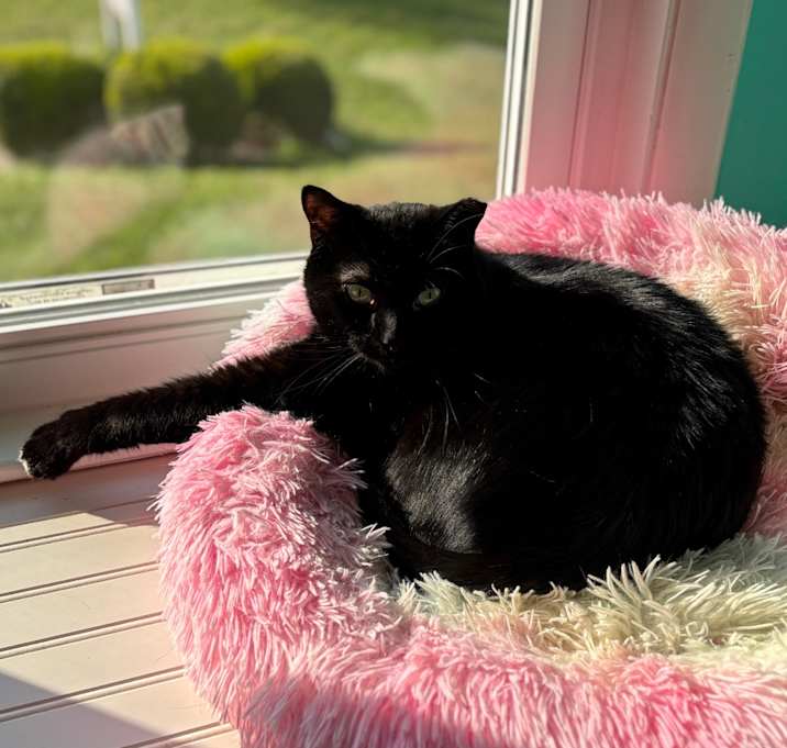 Photo of Wynona
