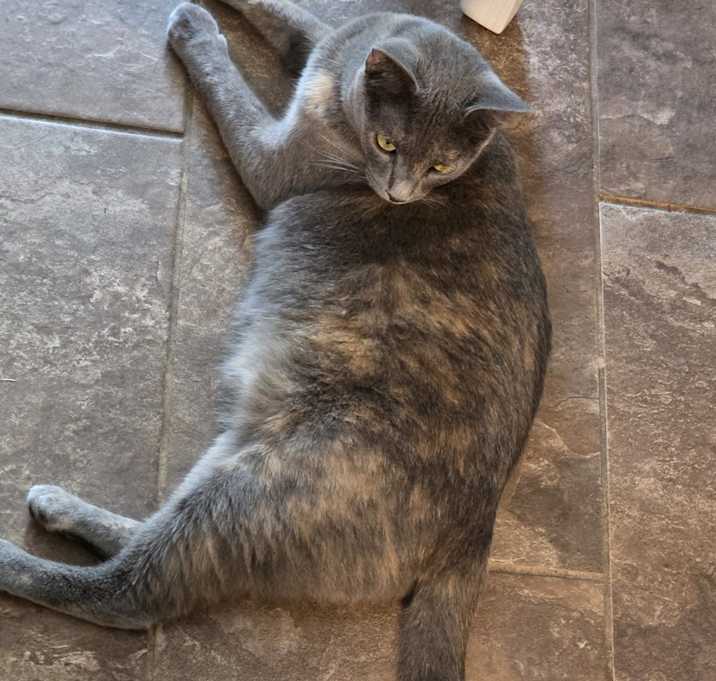 Photo of Blue